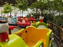 -南宫五洲植物乐园