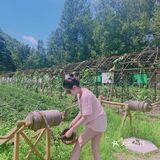 北京郊区好玩小众景点｜世外桃源人间仙境