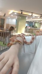 -Moni星球萌宠·小马宝莉·灵蛇·高端高阶全萌宠互动体验俱乐部(红豆国际广场店)