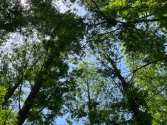 -西山漾湿地公园