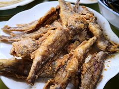 -康陵正德春饼宴26号