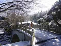 -庐山风景区花径公园
