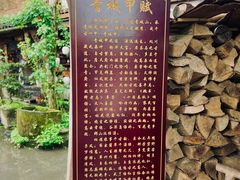 -青城甲(青城山店)