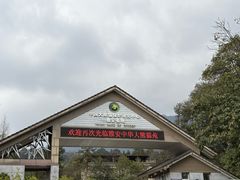 -中国大熊猫保护研究中心雅安碧峰峡基地