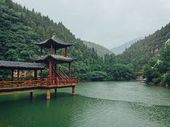 -黄花溪
