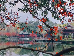 -棠湖公园
