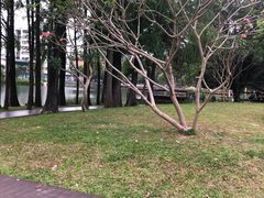 -四海公园(南山区)