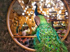 -雀蓝川菜(奥体广场店)