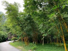 -火炉山森林公园
