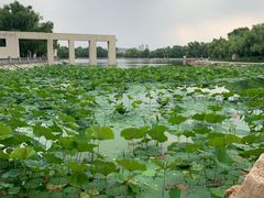 -长春世界雕塑园冰雪艺术天地