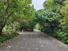 -华侨城湿地公园