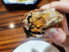 -呼吸森林·生态农庄农家乐私房菜