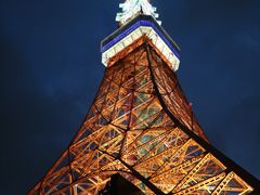-东京塔海贼王主题公园