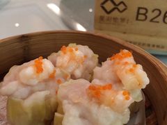 -星湖愉景酒家