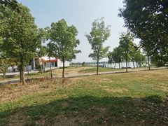 -金银湖国家城市湿地公园