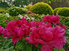 -莲花池公园