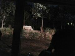 -清迈夜间动物园