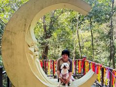 -七仙岭温泉国家森林公园