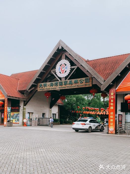 上海海湾国家森林公园图片