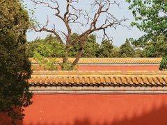 -北京市劳动人民文化宫(太庙)
