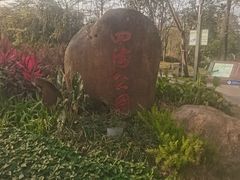 -四海公园(南山区)