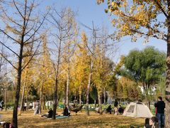 -思念果岭悦温泉