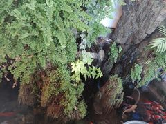 -丽江庭院之爱在路上(西单店)
