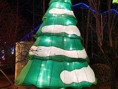 -南宫五洲植物乐园