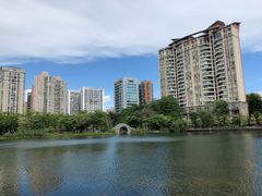 -四海公园(南山区)