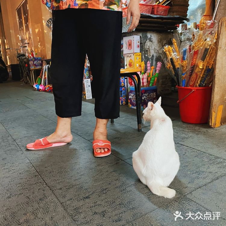 他说这里老房子多，意味着也多