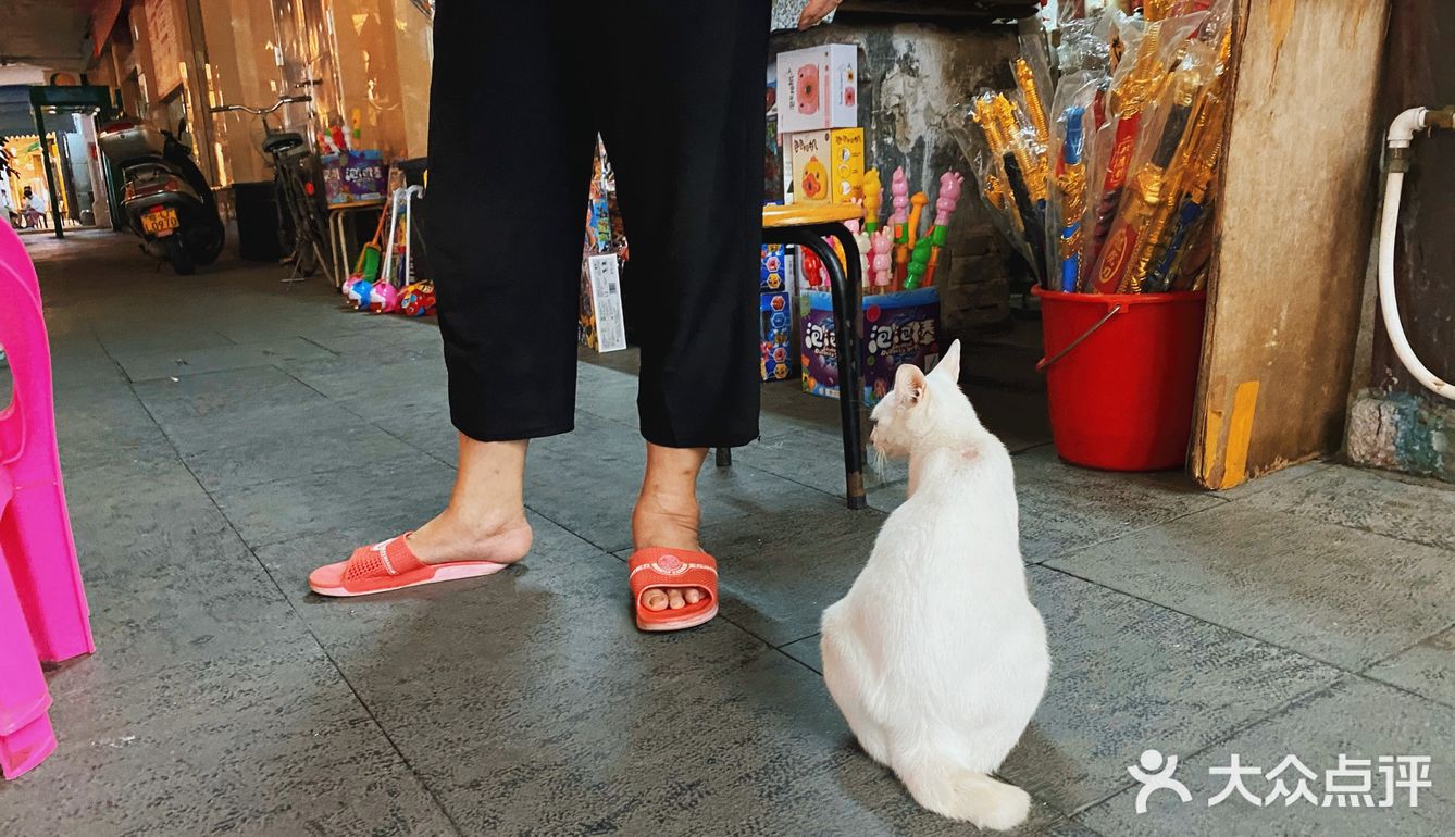 他说这里老房子多，意味着也多