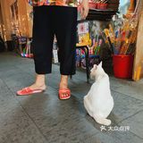 他说这里老房子多，意味着也多