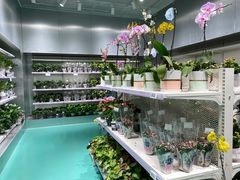 -盒马X会员店(上海森兰商都店)