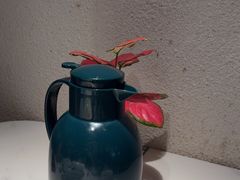 -上上席川菜(凯德乐峰广场店)
