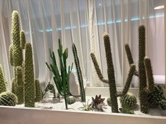-悦海·家宴·冰花皮皮虾大锅贴(宝龙店)