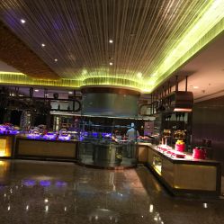 -星河湾半岛酒店·宴会厅