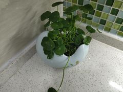 -福州长乐国际机场