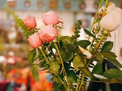 -六月花园咖啡馆(中关村东路店)