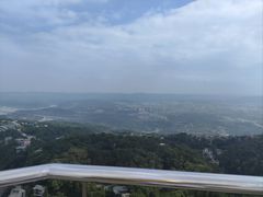 -大金鹰园