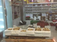 -蘑统田下·野生菌火锅