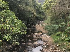 -广州市石门国家森林公园