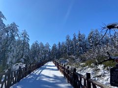 -瓦屋山景区
