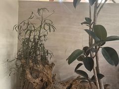 -山缓缓火锅(上海闵行龙湖店)