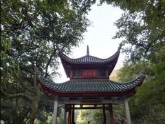 -杜甫江阁