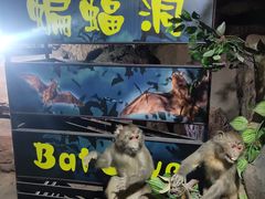 -游龙石文化科普馆