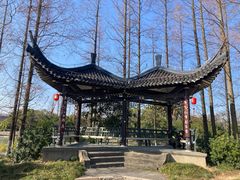 -江心屿景区