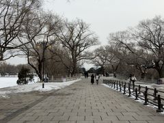 -北陵公园