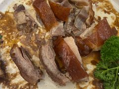 -泉龙渔村·粤式早茶·金牌烧鹅(中山三乡店)