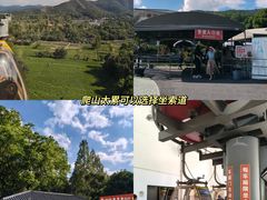 -灵顺寺