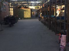 -亲兄弟真人CS团建拓展基地